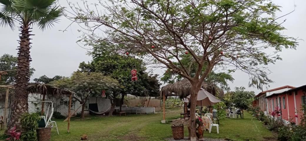 La Vina De Oscar Guest House Nuevo Imperial Eksteriør bilde