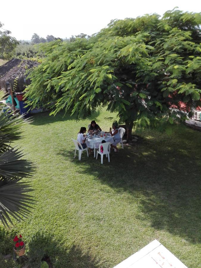 La Vina De Oscar Guest House Nuevo Imperial Eksteriør bilde